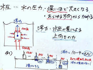 秋の食材